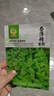 鳳鳴雅世 四季驅蚊草種籽盆栽四季種植薄荷種孑食用薄荷種子10克 曬單實(shí)拍圖