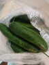 壽光水果黃瓜山東時(shí)令果蔬小青瓜蔬菜火鍋食材清脆爽口產(chǎn)地直發(fā) 水果黃瓜帶箱5斤【劃算】 曬單實(shí)拍圖