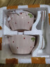 少女心草莓雙耳碗勺加厚湯碗沙拉碗飯碗家用碗高顏值釉下彩餐具 淺粉草莓雙耳碗（1碗1勺） 2件套 曬單實(shí)拍圖
