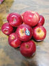 Dazzle丹爍蘋(píng)果新西蘭蘋(píng)果進(jìn)口水果紅玫瑰蘋(píng)果年貨禮盒送女朋友 10個(gè)裝【單果140-160g】 新西蘭進(jìn)口丨dazzle丹爍蘋(píng)果 曬單實(shí)拍圖