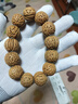 彩荷精品腦紋桃核手串矮樁小桃胡原籽單圈男女手持文玩佛珠手鏈 精品精選級腦紋手串18-20mm 曬單實(shí)拍圖