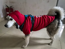 Lanswood 狗狗衣服拉布拉多金毛大型犬小型犬泰迪柯基柴犬狗衣服中大型犬 紅衣-中國年獸 6X建議40斤左右 曬單實(shí)拍圖