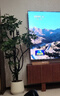 愛(ài)優(yōu)尚特級造型鴨腳木客廳大盆栽八方來(lái)財室內落地大型綠植高端源頭直發(fā) 曬單實(shí)拍圖