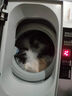 小鴨全自動(dòng)洗衣機小型迷你 波輪家用宿舍租房母嬰兒童小孩寶寶 預約內衣健康洗護風(fēng)干洗脫一體以舊換新 4.2KG全自動(dòng) 【強勁動(dòng)力+一鍵洗滌】終生聯(lián)保 曬單實(shí)拍圖