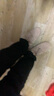 回力官方男鞋戶(hù)外秋冬季加絨保暖運動(dòng)休閑工裝棉鞋子男 333N  卡其 42 曬單實(shí)拍圖