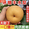 四叔公果蔬山東萊陽(yáng)秋月梨正宗【閃送-多地次日達】應季梨年貨禮盒水果禮盒 【金獎·超甜老樹(shù)果】特級大果｜350g+ 10斤裝【家庭暢吃-狠劃算】?jì)?.5斤 曬單實(shí)拍圖