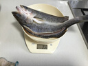 深海七星三去開(kāi)背免洗海鱸魚(yú)空保鮮活魚(yú)新鮮速凍冷凍清蒸高營(yíng)養 400克-500克 開(kāi)背免洗海鱸魚(yú)1條【鮮活開(kāi)背】嘗鮮 曬單實(shí)拍圖