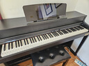 特倫斯（Terence）AI智慧鋼琴立式88鍵重錘電鋼琴智能自學(xué)電子鋼琴新手入門(mén) AIP-713自學(xué)鋼琴+SVIP（終身使用權益） 曬單實(shí)拍圖