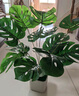 雙盟18頭仿真龜背竹盆栽人造綠植辦公室內假植物花卉龜背葉紅福字盆 曬單實(shí)拍圖