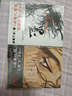 漫畫(huà) 浪客行畫(huà)集 墨+水套裝 井上雄彥 講談社 日文原版畫(huà)集 バガボンド畫(huà)集 曬單實(shí)拍圖