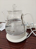 金灶（KAMJOVE） 電熱水壺燒水壺拉弧式耐熱玻璃電茶爐電茶壺 家用0.8升自動(dòng)斷電煮水壺電水壺T-717 【一鍵煮水 快速沸騰】 0.8L 曬單實(shí)拍圖