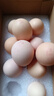 好念頭小香蛋 無(wú)抗生素無(wú)菌生鮮雞蛋 新鮮紅心雞蛋禮盒送禮 10枚小香蛋 曬單實(shí)拍圖