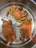 鮮活紅膏梭子蟹 200-300g/只 曬單實(shí)拍圖
