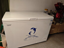 澳柯瑪（AUCMA）307升單溫冷柜家用商用減霜大冰柜 冷藏柜冷凍柜臥式冰箱雪糕柜一級能效 BC/BD-307HNE 以舊換新 曬單實(shí)拍圖