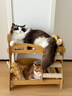 貓咪樂(lè )園多貓家庭寵物窩貓貓上下鋪多層貓咪沙發(fā)躺椅可愛(ài)寵物貓咪 雙層床-黃格 曬單實(shí)拍圖