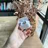 華強北頂配【獨家熱銷(xiāo)100w官版Air4代】藍牙耳機無(wú)線(xiàn)降噪半入耳式pods耳機適配蘋(píng)果iPhone16promax/15/14 【原版全功能降噪版】 空間音頻+滑動(dòng)調音+改名定位+熱銷(xiāo)百萬(wàn) 曬單實(shí)拍圖