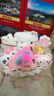 久耀helloKitty貓玩偶花束毛絨公仔玩具娃娃送女友閨蜜圣誕女生日禮物 粉色小香風(fēng)-凱蒂貓花束 成品花束 曬單實(shí)拍圖
