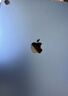 Apple/蘋(píng)果 iPad11英寸 A16芯片2025年款 平板電腦 (256GB WLAN版/學(xué)習辦公娛樂(lè ))藍色 曬單實(shí)拍圖