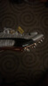 彪馬Puma Nitro100 2代千呼萬(wàn)喚始出來(lái) 田徑精英彪馬男女厚底短跑釘鞋 金色榮耀Nitro 100 2/312243-01 42.5 曬單實(shí)拍圖