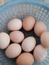 桃西村散養土雞蛋【現撿速發(fā)】正宗柴雞蛋新鮮農家雞蛋草雞蛋笨雞蛋初生 10枚裝 【單枚40-45g】約400g 試吃 曬單實(shí)拍圖