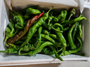 貴州高山螺絲椒新鮮正宗香辣爽口生鮮蔬菜辣椒青椒 2025新鮮貴州高山螺絲椒4斤 曬單實(shí)拍圖