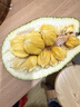 新鮮榴蓮蜜巴掌多肉小個(gè)尖蜜拉小菠蘿蜜濕包熱帶水果迷你現摘 2-2.9斤【1個(gè)】 曬單實(shí)拍圖