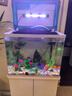 金魚(yú)缸帶柜子一體客廳中小型水族箱過(guò)濾水泵增氧生態(tài)魚(yú)缸新款造景 長(cháng)50cm寬31cm魚(yú)缸標配無(wú)柜子+21件禮包 曬單實(shí)拍圖