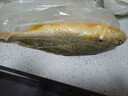 產(chǎn)地直采寧德冰鮮黃花魚(yú)400g-500g/條 曬單實(shí)拍圖