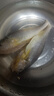黃小漁寧德三去黃花魚(yú)600g/4條大黃魚(yú)生鮮海鮮水產(chǎn)深海魚(yú)類(lèi)燒烤食材 曬單實(shí)拍圖