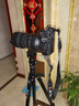 富圖寶（Fotopro）A5i+55QS+SJ-85  扳扣設計全景云臺可變獨腳架微單數碼相機攝影三腳架 羽灰 曬單實(shí)拍圖