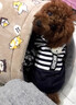 阿莫爾狗狗衣服秋冬季保暖四腳衣中小型犬棉衣比熊泰迪寵物冬裝加絨加厚 黑白條萌趣小熊~（四腳衣） S 曬單實(shí)拍圖
