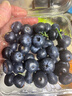 【云南藍莓】云南新鮮藍莓高山種植寶寶輔食孕婦皆可食用啟程 超大果單果18mm＋ 云南藍莓分享帶盒125g*4盒裝 曬單實(shí)拍圖