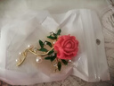柿柿如意中國風(fēng)胸針高檔時(shí)尚防走光水果植物胸花領(lǐng)針大衣別針 柿柿如意 曬單實(shí)拍圖