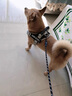 GERTHRON德國拉布拉多胸背帶大型犬狗繩金毛背心式防爆沖杜賓狗鏈子狗狗牽 藏青色-背帶【新升級防爆沖  加強掌控 安全出行】 XS-（8-14斤） 曬單實(shí)拍圖