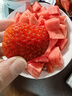 【產(chǎn)地直采】丹東紅顏草莓大果500g 單果18g+ 曬單實(shí)拍圖
