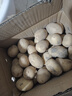 金百粟湖北恩施小土豆 農家黃心洋芋新鮮馬鈴薯現挖蔬菜生鮮 凈重5斤中果【雞蛋大小】 曬單實(shí)拍圖