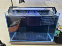 BESSN背濾魚(yú)缸金晶五線(xiàn)超白玻璃成品水族箱一體化過(guò)濾自循環(huán)魚(yú)缸 45*35*30cm背濾精養魚(yú)缸 曬單實(shí)拍圖
