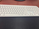 羅技（Logitech）無(wú)線(xiàn)鍵盤(pán)MX Keys S藍牙鍵盤(pán)Keys升級版 高端辦公鍵盤(pán)無(wú)線(xiàn)鍵鼠套裝 全尺寸家用充電背光 宏自定義 MX Keys S白色（Keys升級版） 曬單實(shí)拍圖