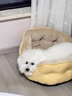 小神仙寵物（FAIRY PET）狗窩四季通用狗狗貓咪睡覺(jué)的窩小狗狗比熊柴犬耐撕咬沙發(fā)窩狗墊子 梔子黃【四季通用 耐抓耐磨】 S（51*45*17cm）【建議5斤內】 曬單實(shí)拍圖