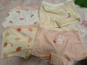 尼多熊兒童內褲女童三角內褲棉小女孩幼兒短褲不夾pp寶寶發(fā)育內褲 XL碼 曬單實(shí)拍圖