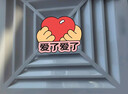 奧克斯（AUX）換氣扇衛生間排氣扇吸頂排氣扇天花吊頂風(fēng)扇 10寸 曬單實(shí)拍圖