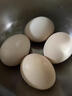 南步農家散養土雞蛋【現撿速發(fā)】新鮮雞蛋笨雞蛋草雞蛋正宗柴雞蛋初生 20枚裝 【單枚40-45g】約800g 曬單實(shí)拍圖