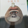 小貓美美 友情 愛(ài)與陪伴 國際繪本大師安東尼·布朗作品3-6歲（啟發(fā)出品  曬單實(shí)拍圖