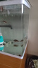 長(cháng)銳小魚(yú)缸小型桌面客廳家用玻璃免換水迷你 【CR620】長(cháng)60x寬33x高50cm 曬單實(shí)拍圖