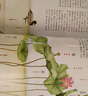 博物 2022年增刊 身邊花草圖鑒【博物君】 中國國家地理青春少年版 博物君式科普百科期刊 京東自營(yíng) 曬單實(shí)拍圖
