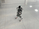 宇樹(shù)（Unitree）Go2 Air+遙控器版本 機器狗 AI大模型 四足機器人 仿生陪伴機器人 具身智能  電子寵物 高端禮物 曬單實(shí)拍圖