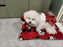 TMJD MISS狗狗冬季寵物新年衣服泰迪毛馬面小型比熊寵物貓喜慶唐裝過(guò)年裙子 紅色馬面唐服裙【拍照留念必備】 L碼【建議8-10斤 參考胸圍背長(cháng)】 曬單實(shí)拍圖