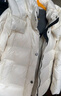 波司登冬羽絨服鵝絨女士泡芙加厚立領(lǐng)外套商場(chǎng)熱賣(mài)同款B250243116 曬單實(shí)拍圖