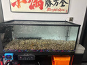 沃爾達N03魚(yú)缸顯示屏控制面板水族箱淡海水缸通用wifi智能定時(shí)插座板插 N03顯示屏+G01插排黑色 曬單實(shí)拍圖