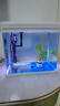 長(cháng)銳小魚(yú)缸小型桌面客廳家用玻璃免換水迷你 【CR320】長(cháng)31x寬22x高30.5cm 曬單實(shí)拍圖